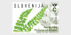 Slovenia / Slovenië - Postfris / MNH - Complete Set Flora 2024 - Eslovenia