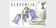 Slovenia / Slovenië - Postfris / MNH - Complete Set Flora 2024 - Eslovenia