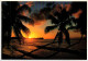 3-4-2024 (4 Y 46) USA - Hawaii - Tropical Sunset (palm Trees) - Arbres