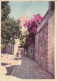 POSTCARD 3199,Croatia,Cavtat - Croatie