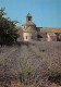 84 GORDES Abbaye De SENANQUE  Lavandes Et Chevet De L'église Abbatiale  N° 5 \MK3014 - Gordes