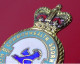 Delcampe - Small Enamel And Metal Pin Badge Royal Airforce RAF No 24 XXIV Commonwealth Squadron Queens Crown HW Miller Birmingham - Airplanes