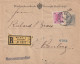 Autriche Entier Postal Privé Recommandé Wien Pour L'Allemagne - Buste