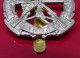 Small Arms School Regiment Modern Good Quality Copy Metal Badge British Army Queens Crown - Militari