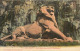 90 - BELFORT LE LION - Belfort – Le Lion