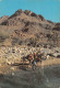 NIGER  Kori Des Monts Tamgak Guelta D'Abeloumat  N° 27   \ML4027 - Niger