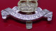 Royal Army Pay Corps Regiment Modern Anodised Staybrite Cap Badge British Army Queens Crown JR Gaunt Birmingham - Army