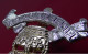 Delcampe - Royal Army Pay Corps Regiment Modern Anodised Staybrite Cap Badge British Army Queens Crown JR Gaunt Birmingham - Armee