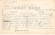 Etats-Unis - N°91531 - ALBERTLEA - Broadway North - Foule Dans Les Rues - Carte Photo - Other & Unclassified