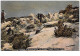 Islande. N°50018 . A Colony Of Divers Nests On Granite Island - Islande