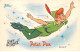 Walt Disney - N°70645 - Peter Pan - Chocolats Tobler - Carte Publicitaire - Disneyland