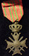 BELGIQUE 1914-1918 Croix De Guerre Avec Palme En Bronze Monogramme A (citation à L'ordre Du Jour De L'armée) - Belgio