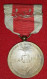 BELGIQUE 1914-1918 Médaille De Bronze Du Comité National De Secours Et D'alimentation - Belgique