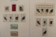 Delcampe - Deutschland 1955-2000, Postfrische Sammlung In Leuchtturm-Vordrucken - Sammlungen