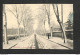 43 - LANGEAC - Avenue De Saugues - 1906 - RARE - Langeac