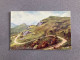 Panorama Walk Llangollen Carte Postale Postcard - Denbighshire