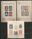 Coleccion De Blockes De Argentina - Blocks & Sheetlets