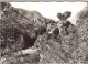 Delcampe - *Photos Gorges Du Tarn (48) - Carnet De 20 Photos (9 X 6.5 Cm) - Lieux