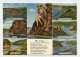 AK 211632 GERMANY - Loreley - Loreley