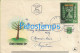 226346 ISRAEL HAIFA COVER CANCEL YEAR 1955 CIRCULATED TO ARGENTINA NO POSTCARD - Altri & Non Classificati