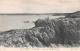 29-LE CONQUET-N°C4066-D/0399 - Le Conquet