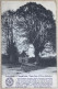 LOUVEIGNÉ Chapelle Du Trau Leu (Trou Du Loup) CP Postée En 1910 - Sprimont