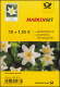 FB 91bII Buschwindröschen, Folienblatt ** (10 X 3484), Nr. -0151, WEITER Abstand - 2011-2020