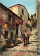 FRANCE - Eze - Village Très Pittoresque Où L'on Peut Se Promener ... - Colorisé - Animé - Carte Postale Ancienne - Eze