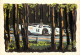 ILLUSTRATION VOITURE DE COURSE  PUB MUTUELLES DU MANS  - Le Mans