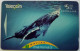 New Zealand $5 GPT  251B -Humpback Whale - Nieuw-Zeeland