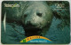 New Zealand $20 GPT 251D - Elephant Seal - New Zealand