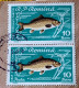 Error Romania 1960, MI# 1927 Pair, FISHES, Crap Printed With Dashed, Used Round Cancel Timișoara - Abarten Und Kuriositäten