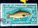 Stamps Errors Romania 1960, MI# 1927, FISHES, Crap Printed With Full Circle, Dot, Next To The Letter "ă" Used Stamp - Errors, Freaks & Oddities (EFO)