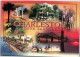 CHARLESTON. -    2006.  -   Timbres.  Stamp - Charleston