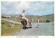 Irlande - Irish Colleen With Donkey And Turf Baskets - Anes - Femme - Enfants - CPM - Voir Scans Recto-Verso - Other
