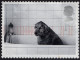 GREAT BRITAIN 2001 QEII 1st Black & Grey, Cats & Dogs-Dog In Bath SG2188 Used - Gebruikt