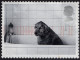 GREAT BRITAIN 2001 QEII 1st Black & Grey, Cats & Dogs-Dog In Bath SG2188 Used - Used Stamps