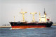 Delcampe - Lot De 100 BATEAUX DE COMMERCE - Photos Couleur Format CPM Cargo Ferry Merchant Ship Tanker Carrier Boats 1980-2000 - 100 - 499 Karten