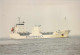 Delcampe - Lot De 100 BATEAUX DE COMMERCE - Photos Couleur Format CPM Cargo Ferry Merchant Ship Tanker Carrier Boats 1980-2000 - 100 - 499 Cartes