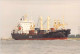 Delcampe - Lot De 100 BATEAUX DE COMMERCE - Photos Couleur Format CPM Cargo Ferry Merchant Ship Tanker Carrier Boats 1980-2000 - 100 - 499 Karten