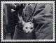 GREAT BRITAIN 2001 QEII 1st Black & Grey, Cats & Dogs-Cat In Shoulder Bag SG2190 Used - Oblitérés