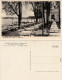 Ansichtskarte Tegel Berlin Gaststätte Blumeshof - Tegeler See 1930 - Tegel