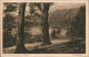 Ansichtskarte Stubbenkammer-Sassnitz Stubbenkammer - Wald 1926 - Sassnitz