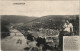 Ansichtskarte Bad Karlshafen Stadt, Dampfer - Frau Mit Hafe 1913 - Bad Karlshafen