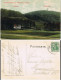Ansichtskarte Rinteln Waldrestauration Zum Waldkater 1907  Gel. Bahnpost-Stempel - Rinteln