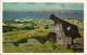 Postcard Montevideo LA CIUDAD VISTA DESDE EL CERRO Panorama 1960 - Uruguay