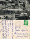 Ansichtskarte Gelsenkirchen Mehrbild-AK Ruhrzoo OT Bismarck, Div. Tiere 1961 - Gelsenkirchen