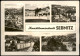 Ansichtskarte Sebnitz DDR Mehrbild-AK Der Kunstblumenstadt SEBNITZ 1964 - Sebnitz