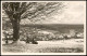 Ansichtskarte Braunlage Harz Blick V. D. Rosentalbank Aus 1952 - Braunlage