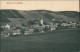 Geising-Altenberg (Erzgebirge) Panorama-Ansicht Geising Im Erzgebirge 1910 - Geising